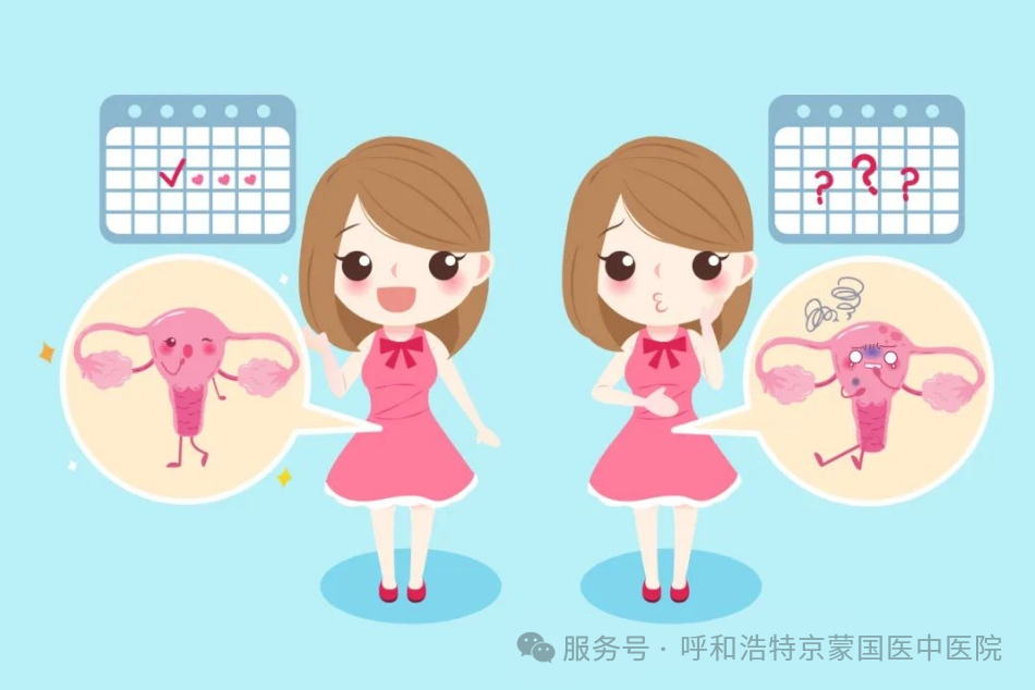 呼和浩特京蒙国医中医院联体医院