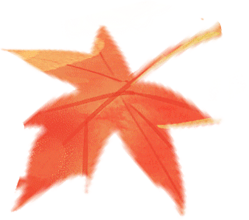 呼和浩特京蒙国医中医院联体医院